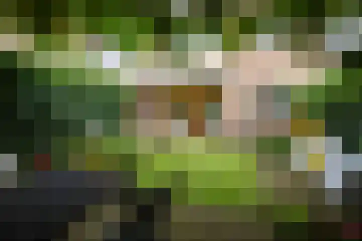 Ceintuurbaan 47 Deventer thumbnail 27