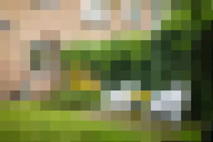 Ceintuurbaan 47 Deventer thumbnail 28