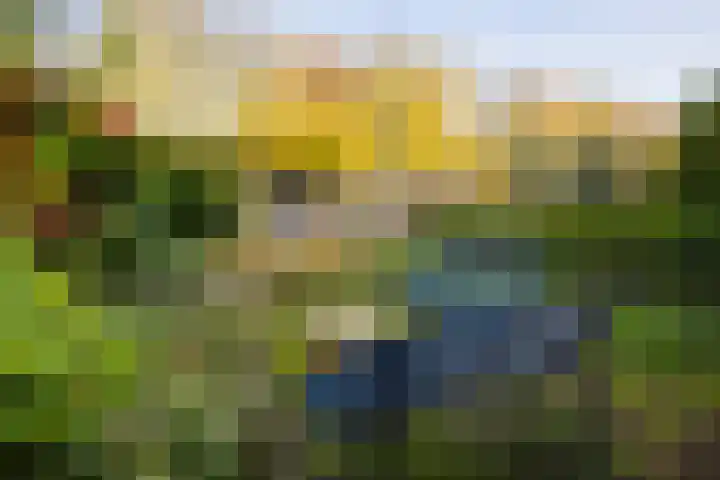 Ceintuurbaan 47 Deventer thumbnail 30