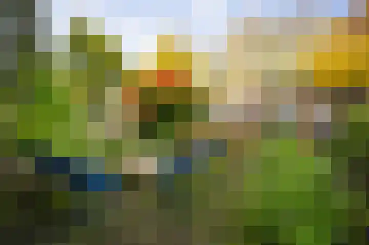Ceintuurbaan 47 Deventer thumbnail 31