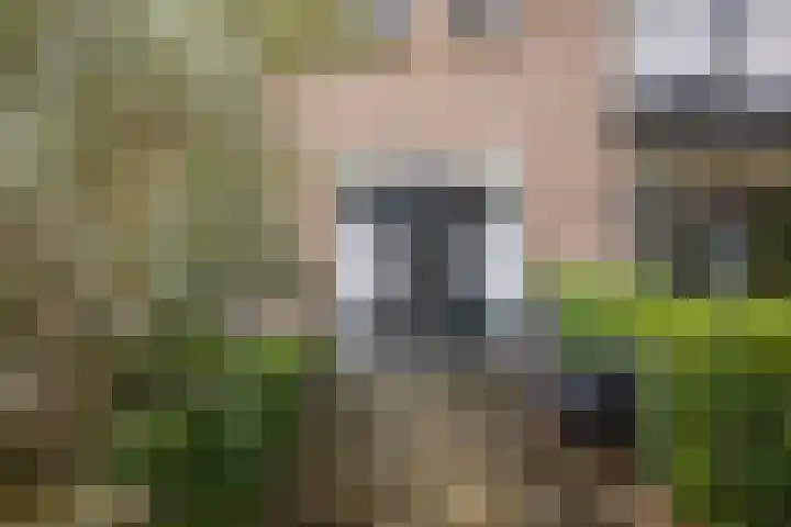 Ceintuurbaan 47 Deventer thumbnail 33