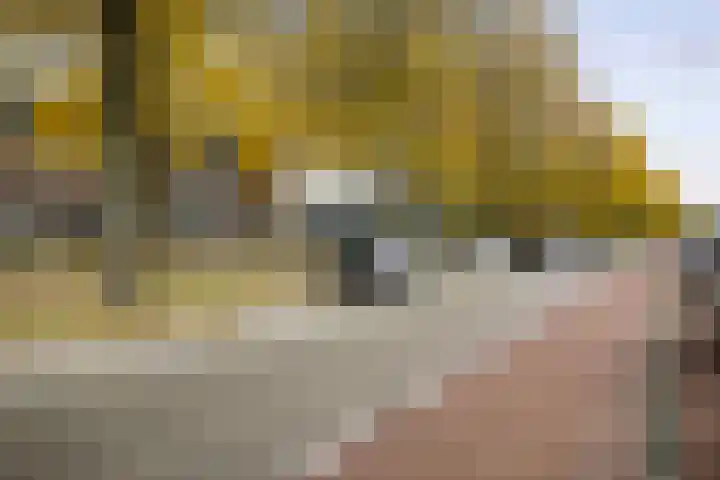 Ceintuurbaan 47 Deventer thumbnail 37