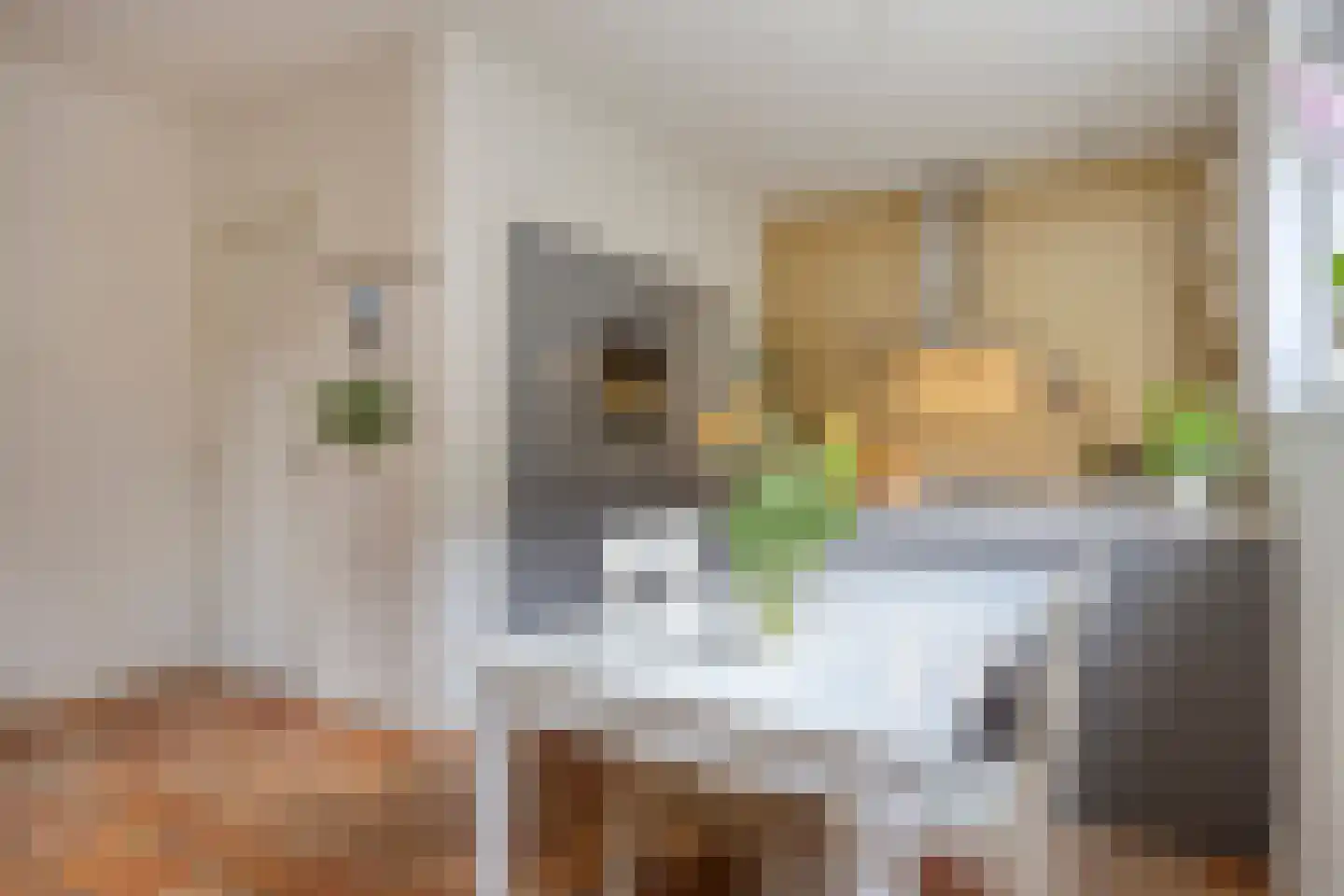 Ceintuurbaan 5 Deventer thumbnail 18