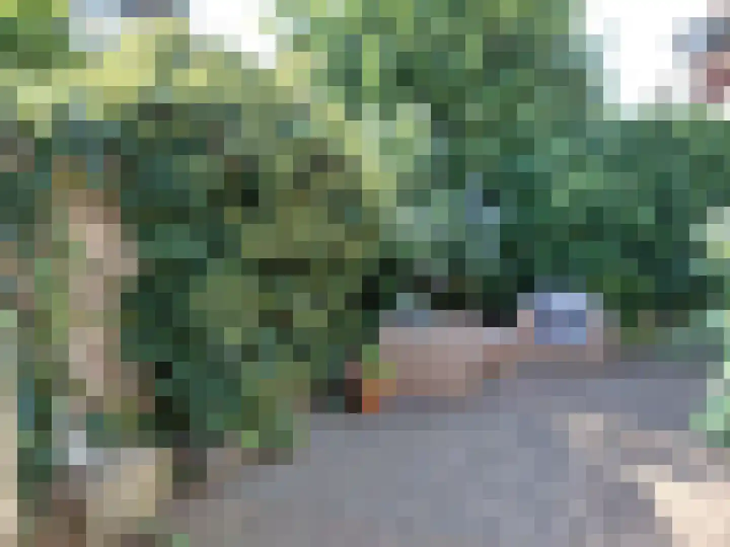 Ceintuurbaan 5 Deventer thumbnail 48