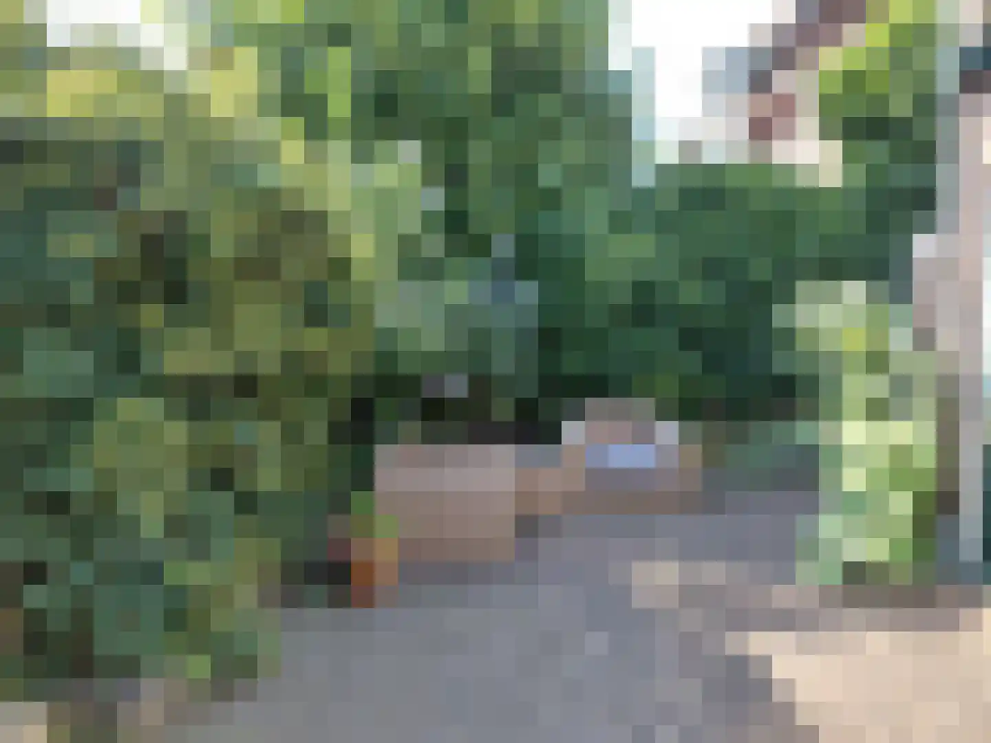 Ceintuurbaan 5 Deventer thumbnail 51