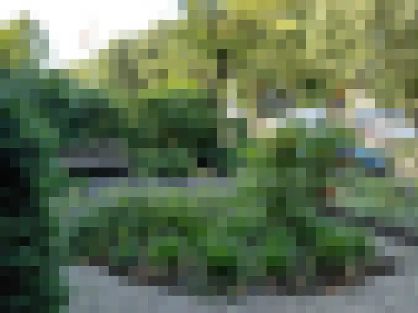 Ceintuurbaan 5 Deventer thumbnail 9