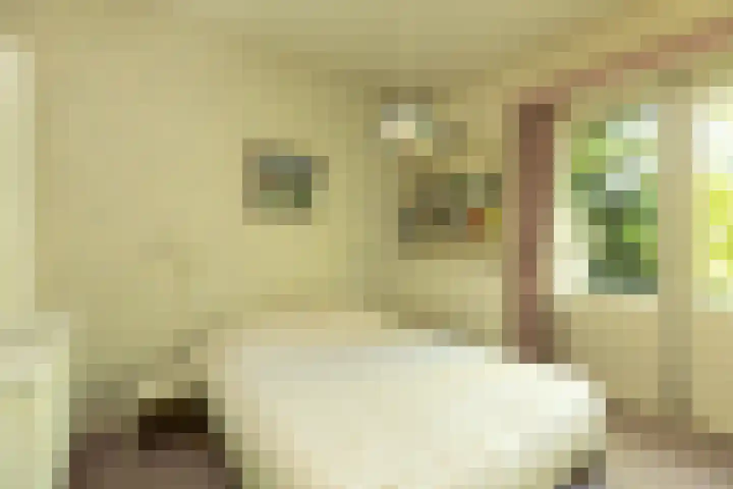 Ceintuurbaan 5 Hilversum thumbnail 19