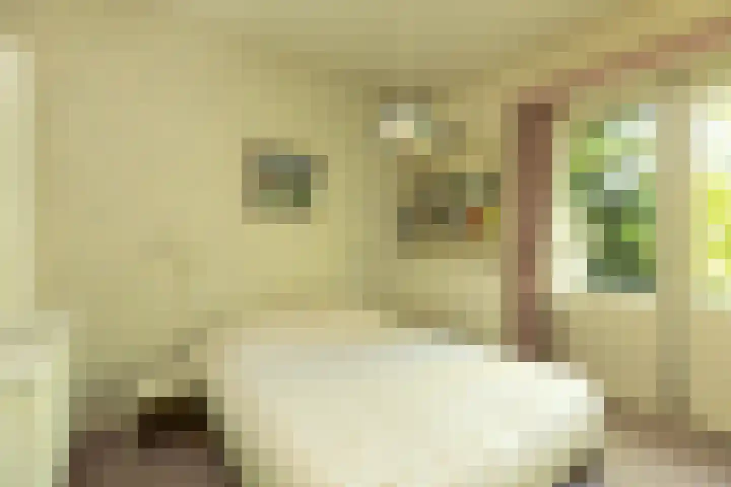 Ceintuurbaan 5 Hilversum thumbnail 19