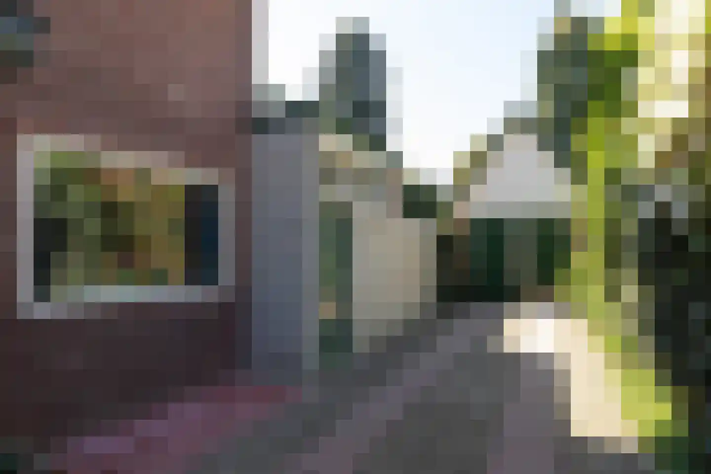 Ceintuurbaan 5 Hilversum thumbnail 39