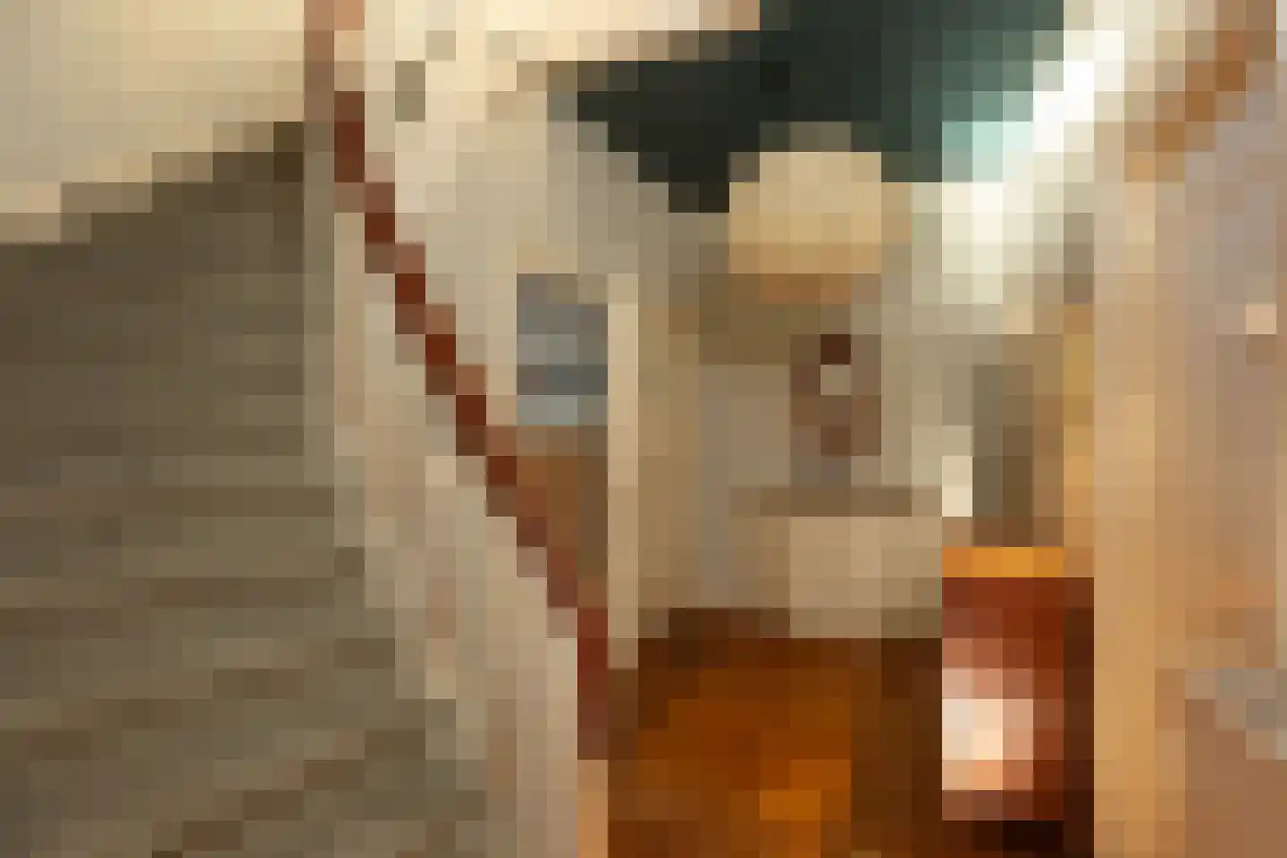 Ceintuurbaan 5 Hilversum thumbnail 4