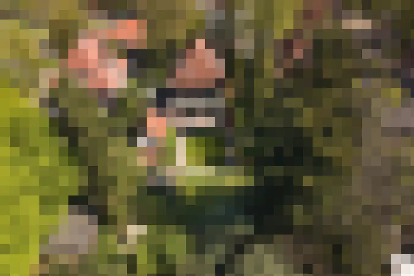 Ceintuurbaan 5 Hilversum thumbnail 43