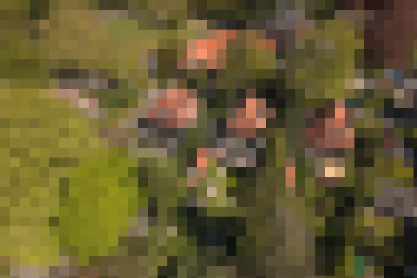 Ceintuurbaan 5 Hilversum thumbnail 44