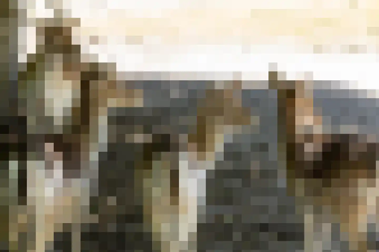 Ceintuurbaan 5 Hilversum thumbnail 46