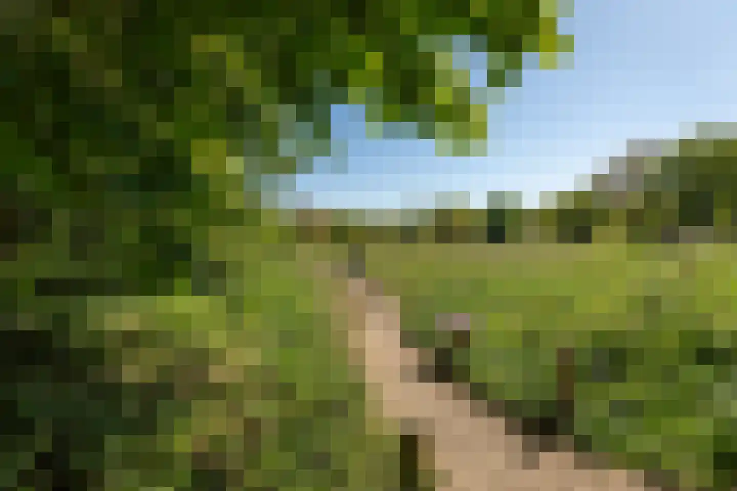 Ceintuurbaan 5 Hilversum thumbnail 49