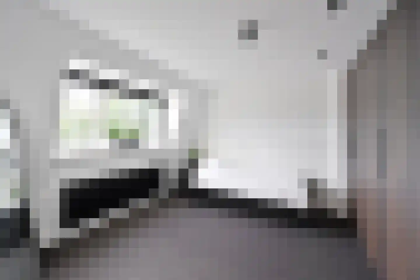Ceintuurbaan 50 Huizen thumbnail 14