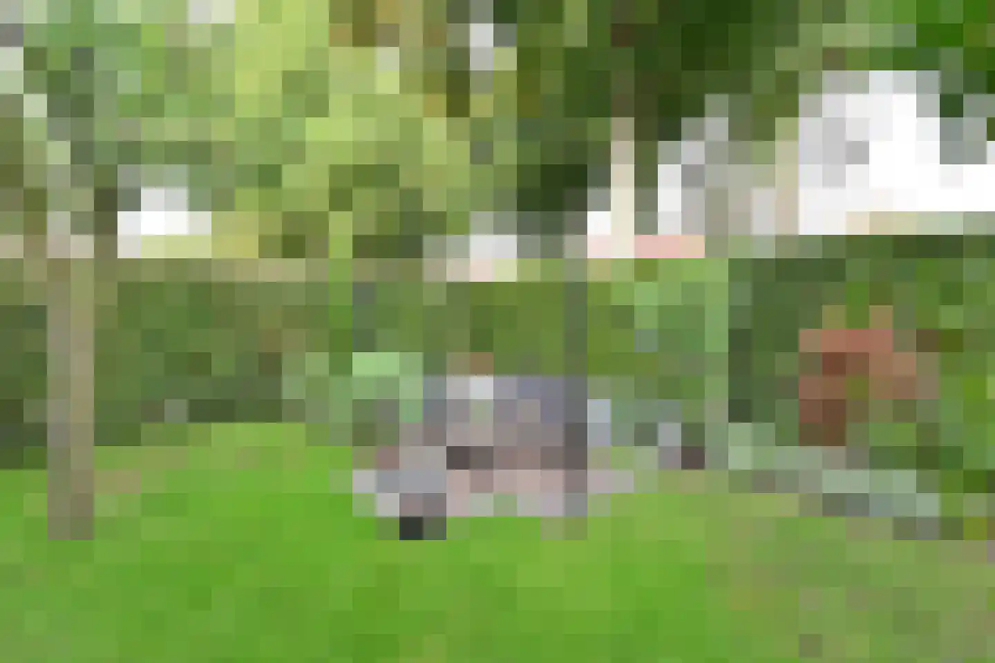 Ceintuurbaan 50 Huizen thumbnail 20