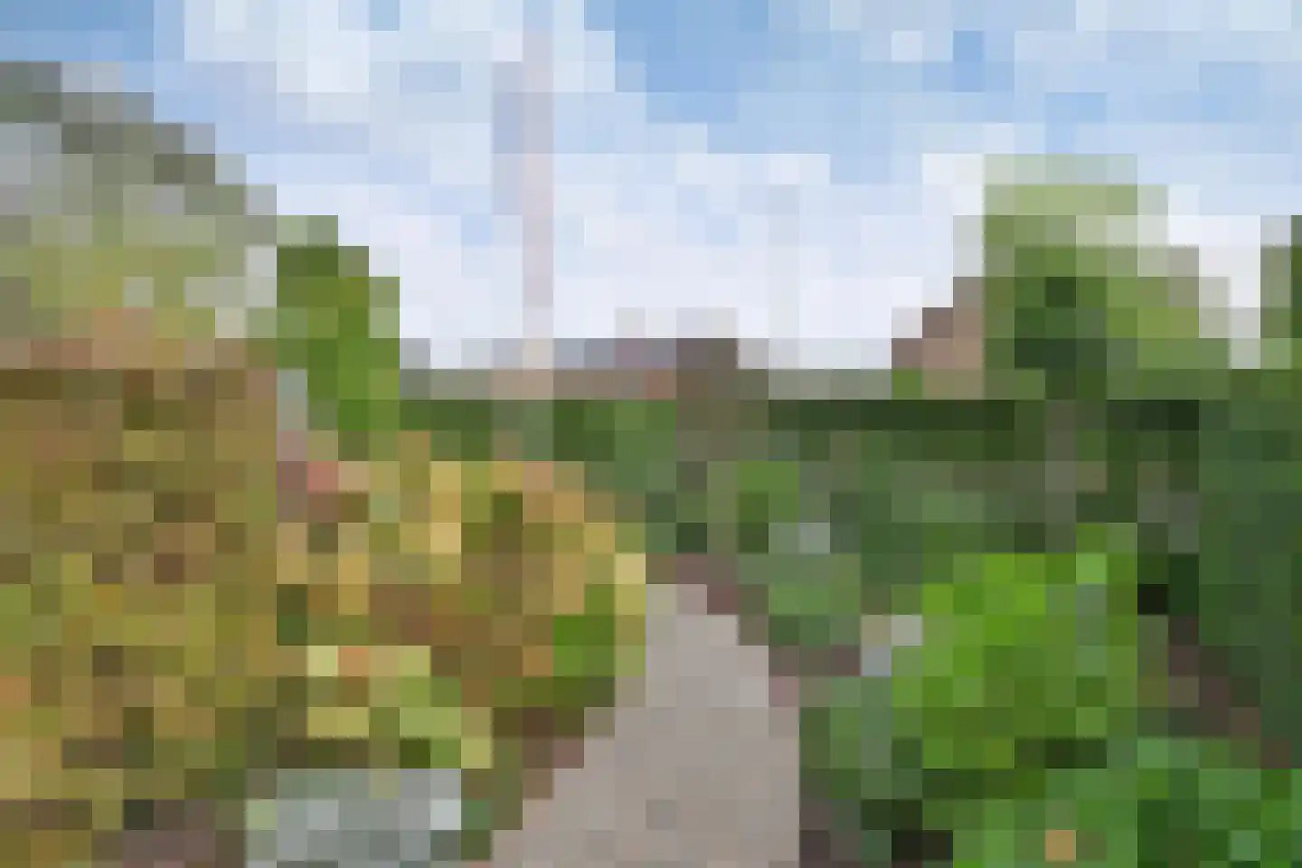 Ceintuurbaan 50 Huizen thumbnail 21