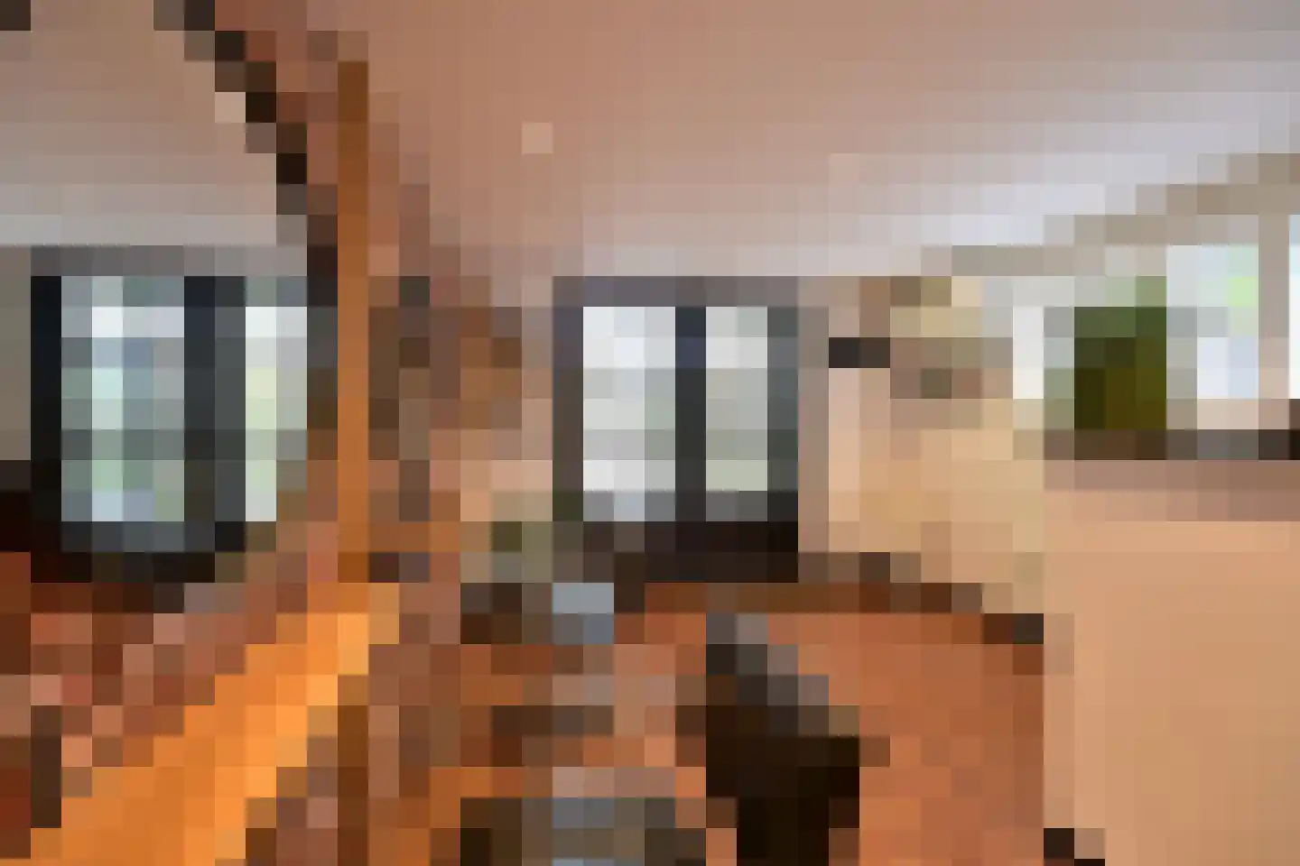 Ceintuurbaan 50 Huizen thumbnail 24