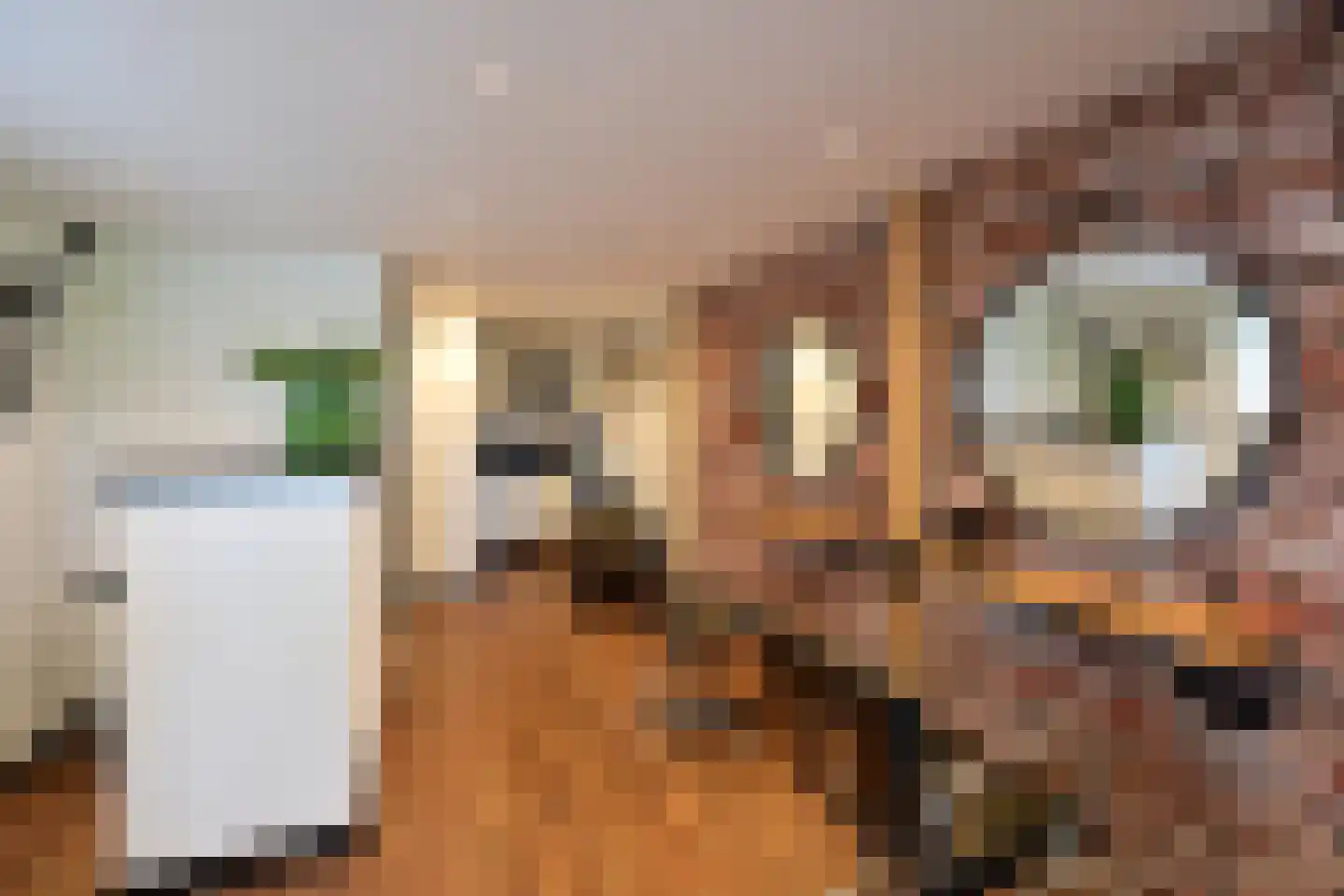 Ceintuurbaan 50 Huizen thumbnail 25