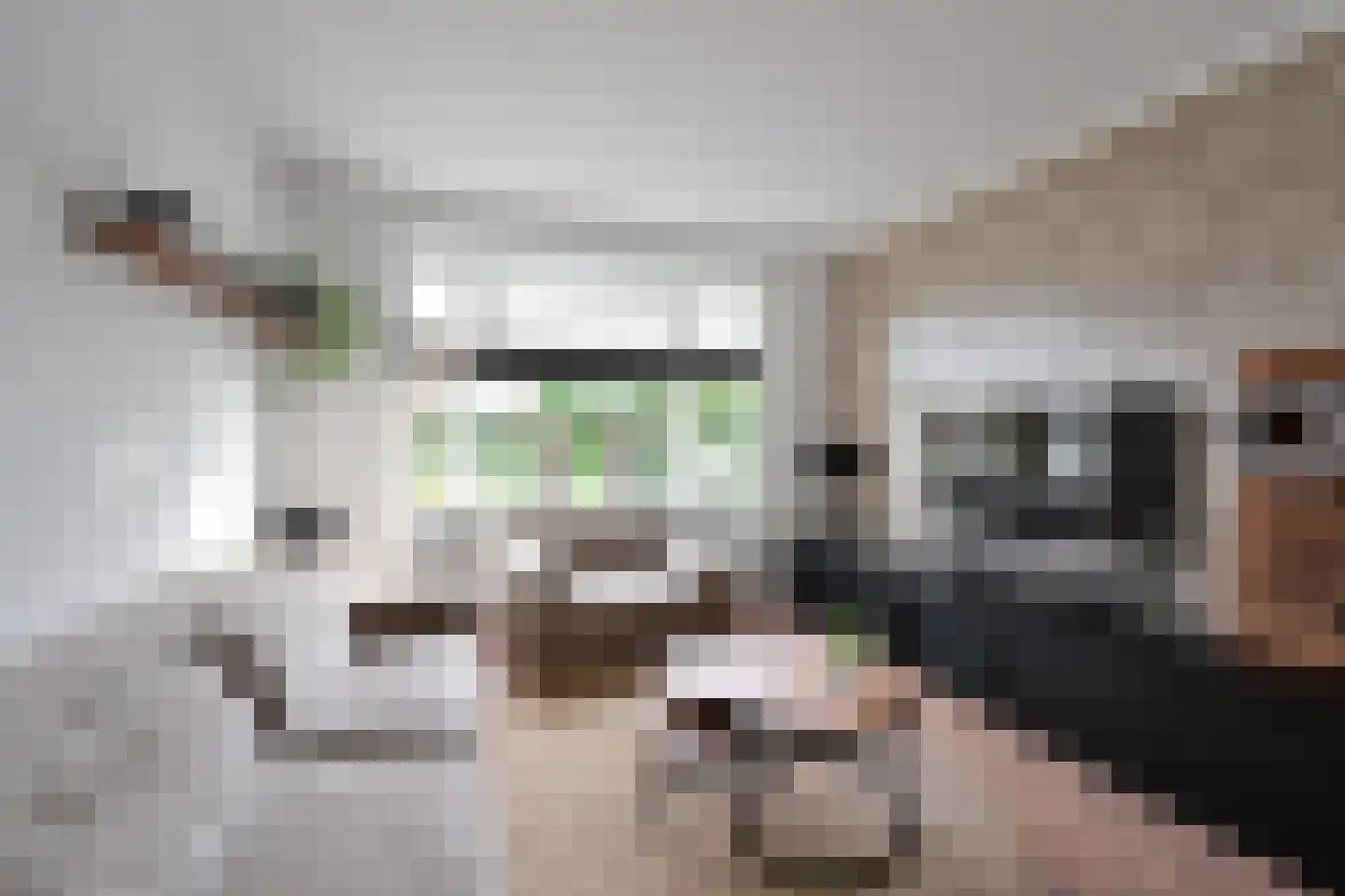 Ceintuurbaan 50 Huizen thumbnail 5