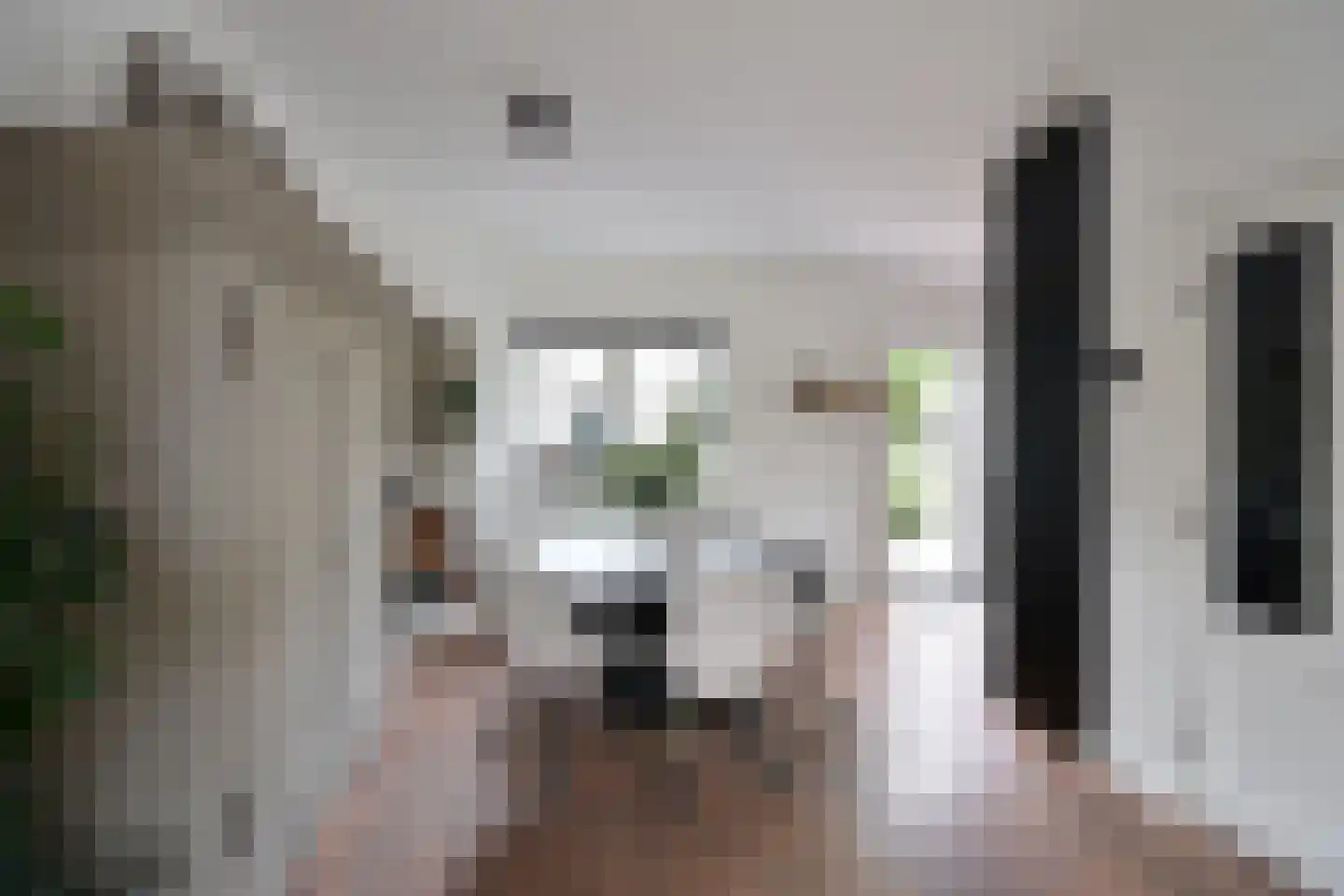 Ceintuurbaan 50 Huizen thumbnail 8