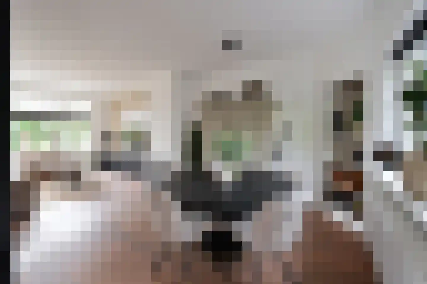 Ceintuurbaan 50 Huizen thumbnail 9