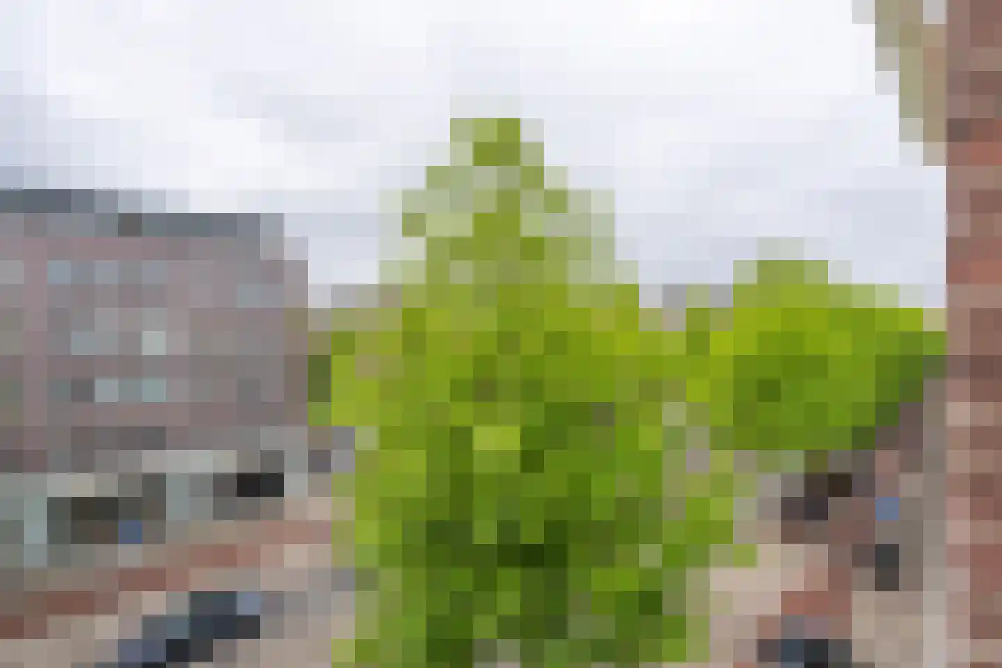 Ceintuurbaan 57 1 Amsterdam thumbnail 7