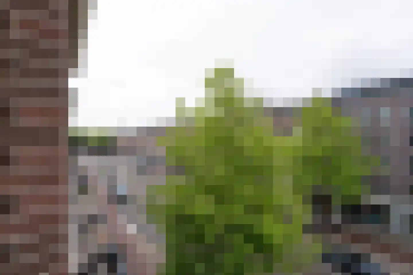 Ceintuurbaan 57 2 Amsterdam thumbnail 8