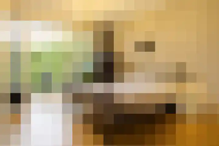Ceintuurbaan 57 Deventer thumbnail 13