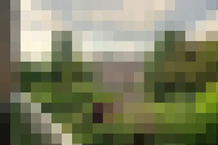 Ceintuurbaan 57 Deventer thumbnail 16