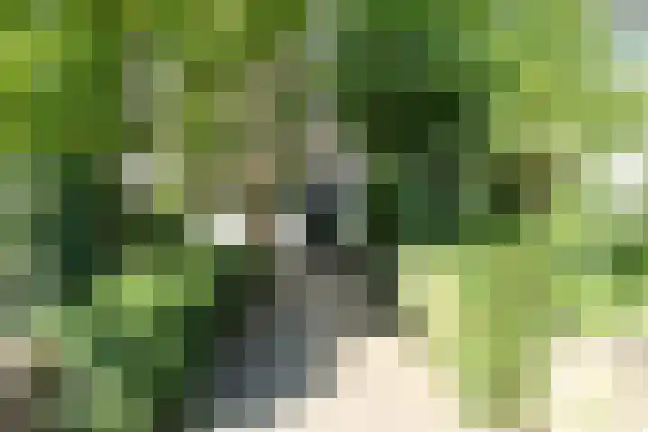 Ceintuurbaan 57 Deventer thumbnail 21