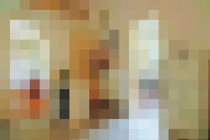 Ceintuurbaan 57 Deventer thumbnail 5