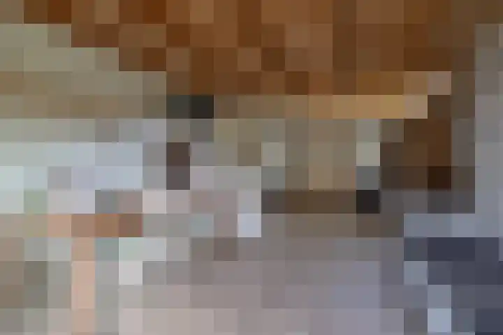 Ceintuurbaan 58 a Huizen thumbnail 10