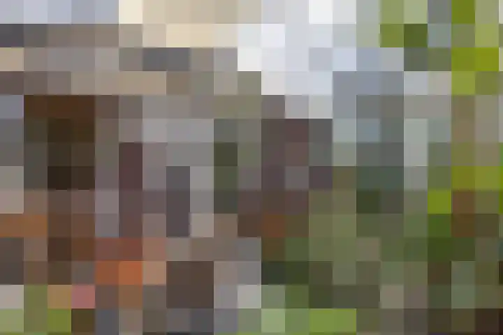 Ceintuurbaan 58 a Huizen thumbnail 12