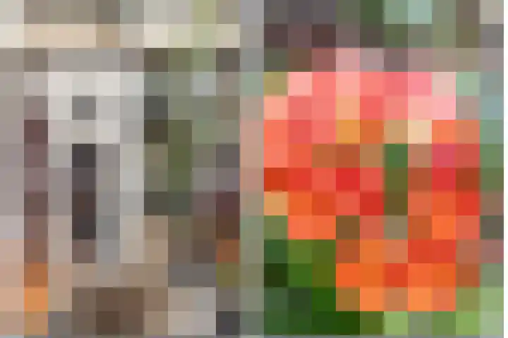 Ceintuurbaan 58 a Huizen thumbnail 13