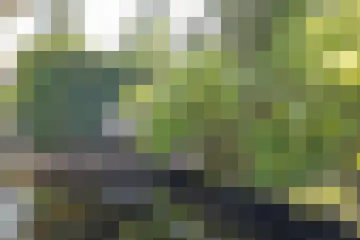 Ceintuurbaan 58 a Huizen thumbnail 25