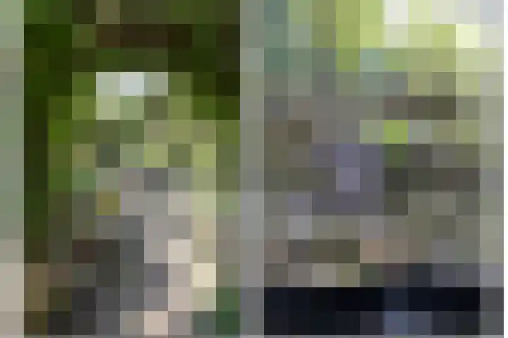 Ceintuurbaan 58 a Huizen thumbnail 26