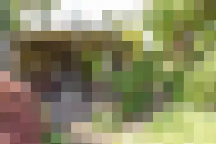 Ceintuurbaan 58 a Huizen thumbnail 27