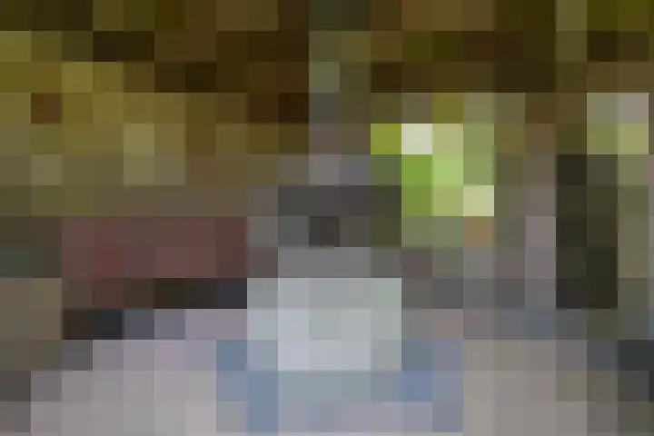 Ceintuurbaan 58 a Huizen thumbnail 28