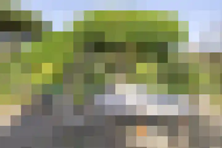 Ceintuurbaan 58 a Huizen thumbnail 29