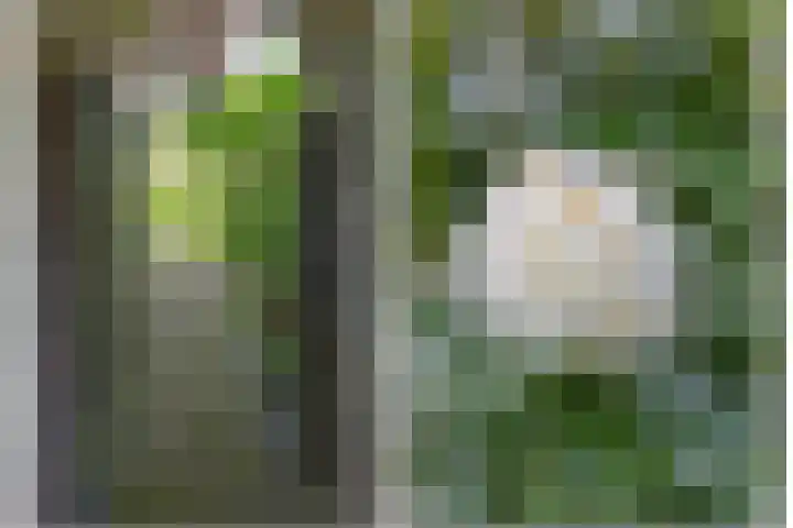 Ceintuurbaan 58 a Huizen thumbnail 30