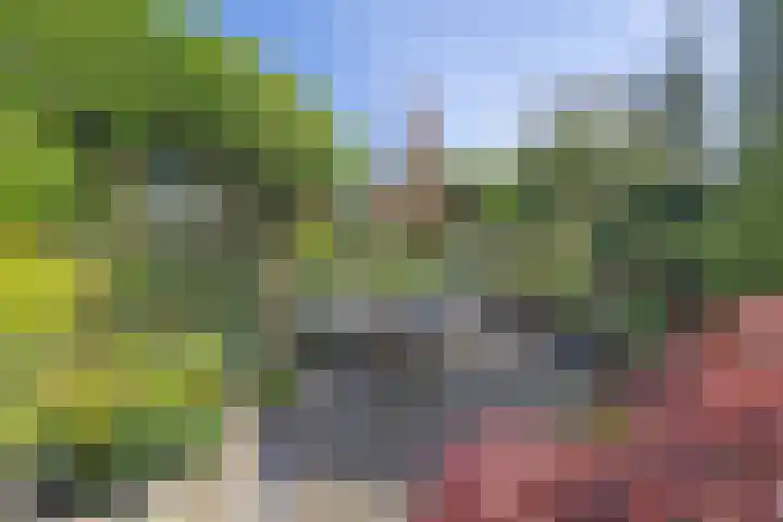 Ceintuurbaan 58 a Huizen thumbnail 31