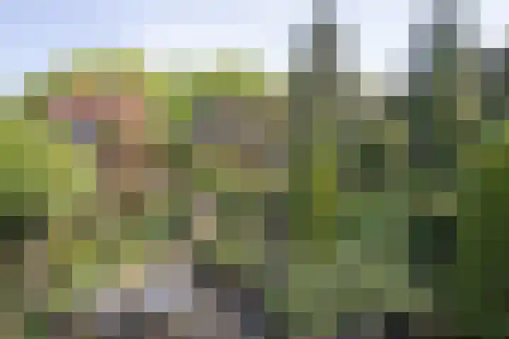 Ceintuurbaan 58 a Huizen thumbnail 32