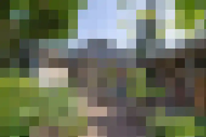 Ceintuurbaan 58 a Huizen thumbnail 33
