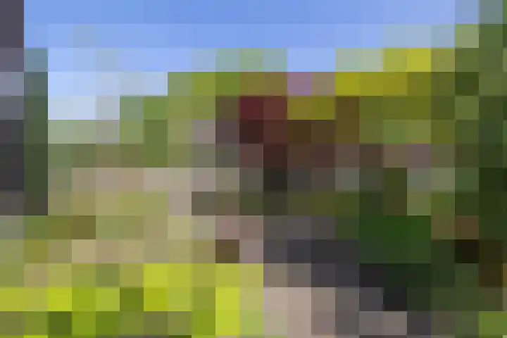 Ceintuurbaan 58 a Huizen thumbnail 35