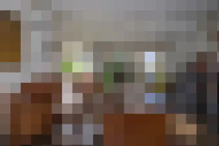 Ceintuurbaan 58 a Huizen thumbnail 5