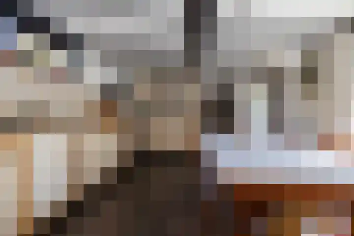 Ceintuurbaan 58 a Huizen thumbnail 9