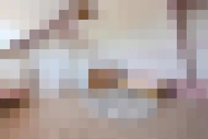 Ceintuurbaan 58 Huizen thumbnail 13