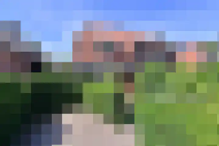 Ceintuurbaan 58 Huizen thumbnail 22