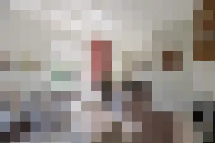 Ceintuurbaan 58 Huizen thumbnail 5